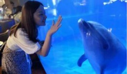 小晨海洋最新爆料,娱乐圈最新爆料大起底