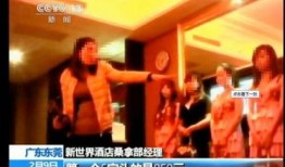 广州东莞爆料新闻事件,惊现重大事件引发社会关注